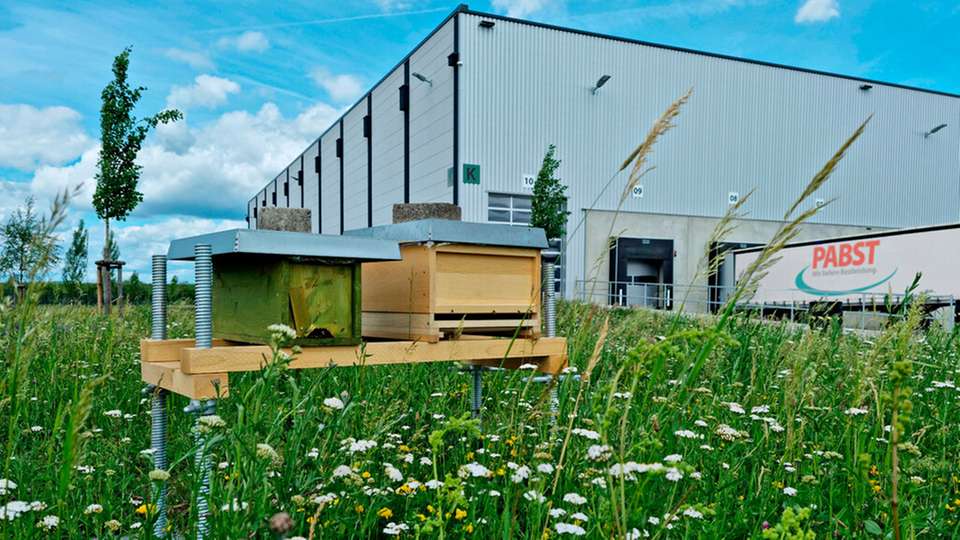 
        Im Jahr der Nachhaltigkeit will Pabst Transport aufzeigen, welche Möglichkeiten auch ein Transport- und Logistikunternehmen hat, sich tatsächlich nachhaltig aufzustellen. (Foto: Jonas Heimrich)
      