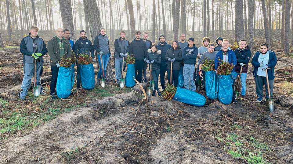 Das Waldsterben stoppen: Reber Logistik pflanzt Bäume an der polnischen Grenze.