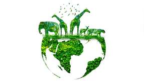 Biodiversität ist nicht nur in der Landwirtschaft von Bedeutung. Auch der Finanzsektor ist auf biologische Vielfalt angewiesen.
