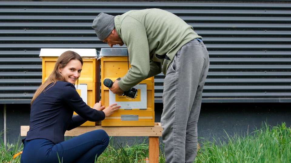 Die junge Vorständin setzt sich dafür ein, dass ihr Familienunternehmen nachhaltig wirtschaftet. Dazu gehört für sie auch soziales Engagement und Umweltschutz.