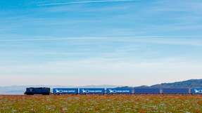 Dank der Kooperation mit HHLA Pure konnte Cargo-Partner das Volumen seiner klimaneutral abgewickelten Transporte in Zentraleuropa steigern. 