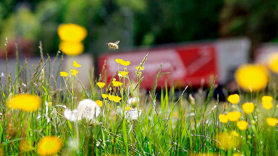 Für seine Transporte bietet Kombiverkehr jetzt auch die exakte Erfassung der Emissionen an.
