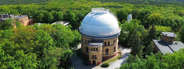 Der Schein trügt: Obwohl die Bäume auf dem Telegrafenberg in Potsdam in sattem Grün erstrahlen, ist der Bestand infolge von Hitze, Trockenheit und Wassermangel bereits zu 78 Prozent geschädigt. Ein Landschaftskonzept soll den Campus klimaresilient, biodivers und nachhaltig gestalten. 