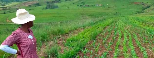 Im südafrikanischen Bergville leitet die Mahlathini Development Foundation ein wegweisendes Projekt in der Drakensberg-Region, das Frauen und Jugendliche ins Zentrum des Wassermanagements stellt. 