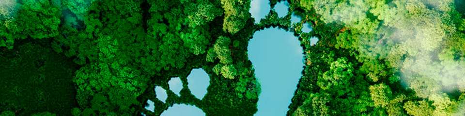 Nachhaltigkeit in der Logistik erfordert sowohl zuverlässige Berichterstattung als auch die Fähigkeit, entsprechend zu handeln.